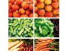 rezepte.jpg