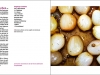 kochbuch5
