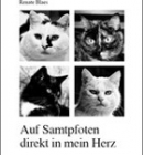 Auf Samtpfoten direkt in mein Herz