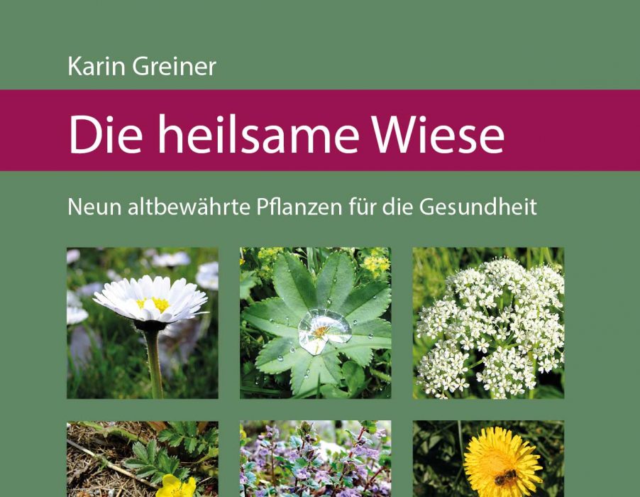 Buch über Heilpflanzen in der Natur