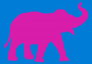 elefant