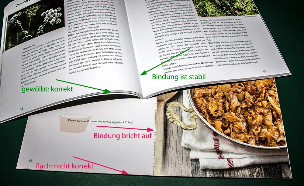 Buchproduktion