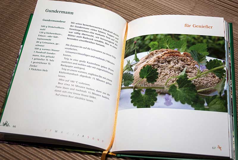 Die Autorin Karin Greiner und ihre Erfahrungen mit Verlagen 2 Edition Blaes gundermann