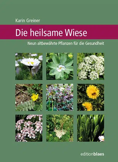 Wiese