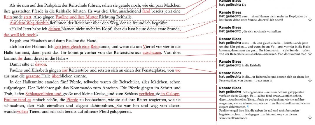 Einzelleistungen für Autoren bei Edition Blaes 3 Edition Blaes Lektorat-Pferderoman
