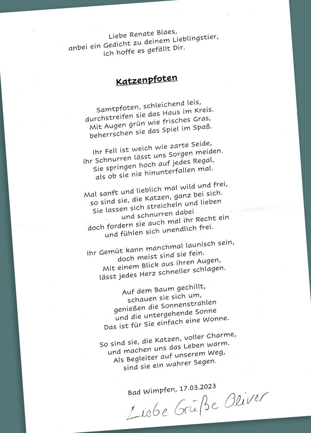 Katzenpfoten