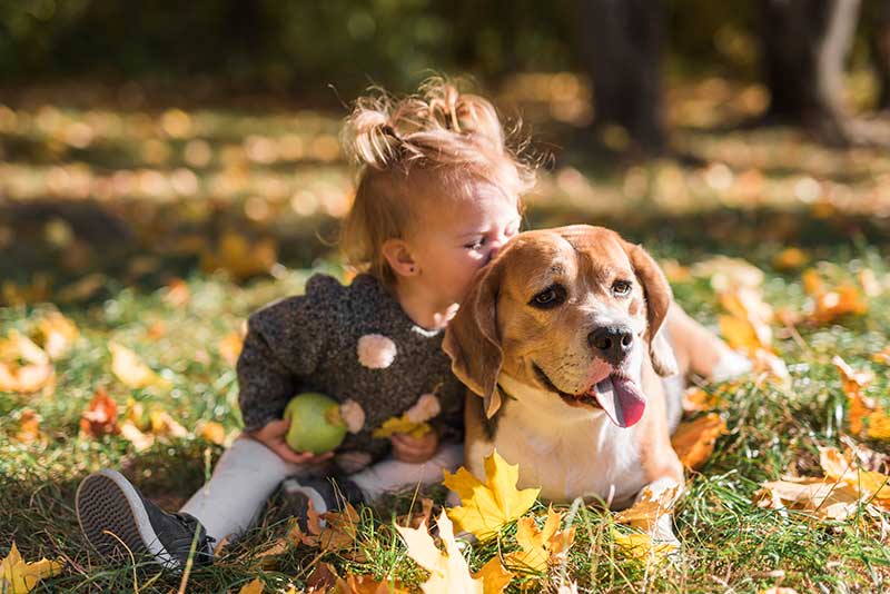 maedchen mit hund