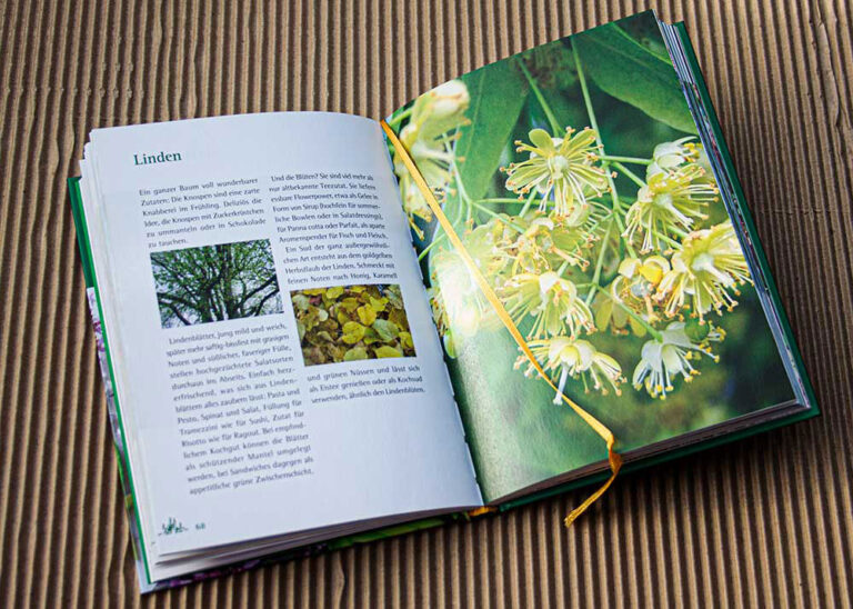 Hardcoverbuch-Rezepte