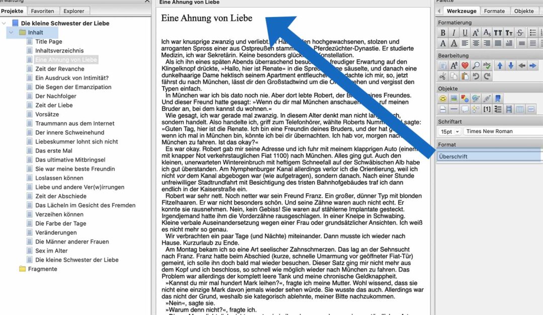 Einzelleistungen für Autoren bei Edition Blaes 5 Edition Blaes barrierefreies-e-book