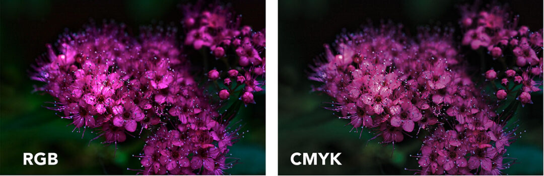 RGB oder CMYK 4 Edition Blaes Farbraum Vergleich
