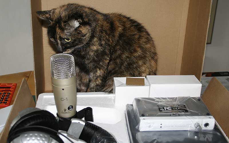 Autorenlesung 6 Edition Blaes Mikrophon