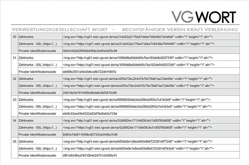 Digitale Steinzeit: VG-Wort 3 Edition Blaes Zählpixel-VGWORT