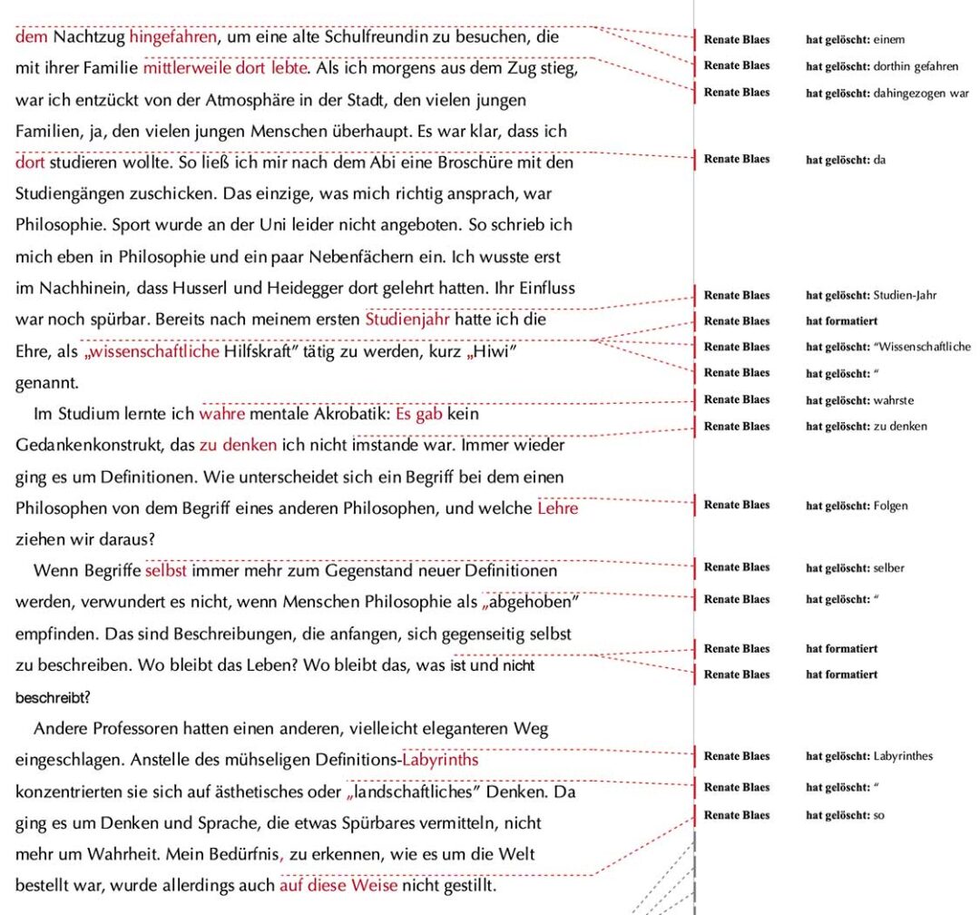 Buch selbst veröffentlichen 4 Edition Blaes erweitertes Lektorat