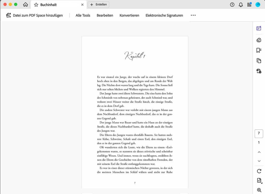 Buchdruck: WORD-Datei oder PDF? 3 Edition Blaes PDF Buchdruck